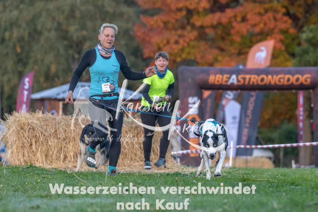 0834_ZZ90795-Bearbeitet | kk-dogfotos