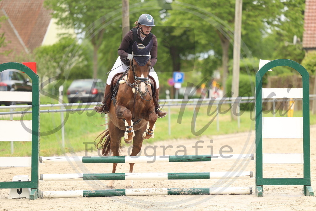 994A8704 | sabrinanicolaifotografie - Realisiert mit Pictrs.com