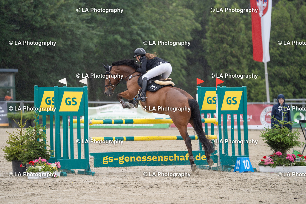 DSC06951 | Entdecke einzigartige Turnierfotos und persönliche Pferde- und Hundeportraits bei LA Photography. Für jeden Reiter und Pferd das perfekte Bild! Stöbere jetzt! - Realisiert mit Pictrs.com
