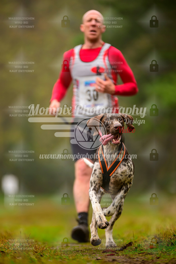 MompixPhotography_Bischwiller2025_Canicross-21 | mompixphotography