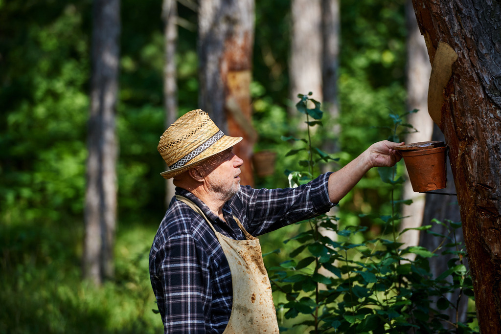 Pecher Gerhold Wöhrer | Matzendorf-Hölles, Austria - July 04, 2019: Pecherpfad in Hölles mit Pecher Gerhold Wöhrer; Deckel auf das Pechhäferl setzen. - Realisiert mit Pictrs.com