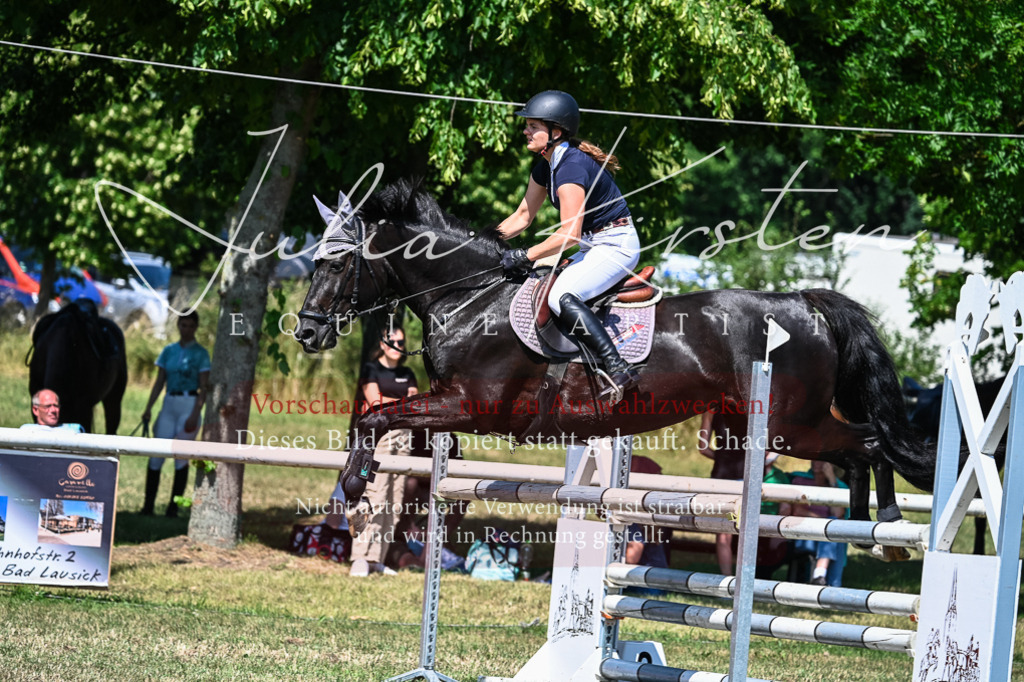 DSC_1043 | Pferde- und Turnierfotografie in Westsachsen. Pferdeportraits, Auftragszeichnungen und intuitive Kunst.