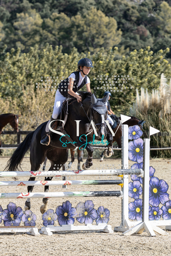 IMG_0460 | s-jay-photography - Realisiert mit Pictrs.com