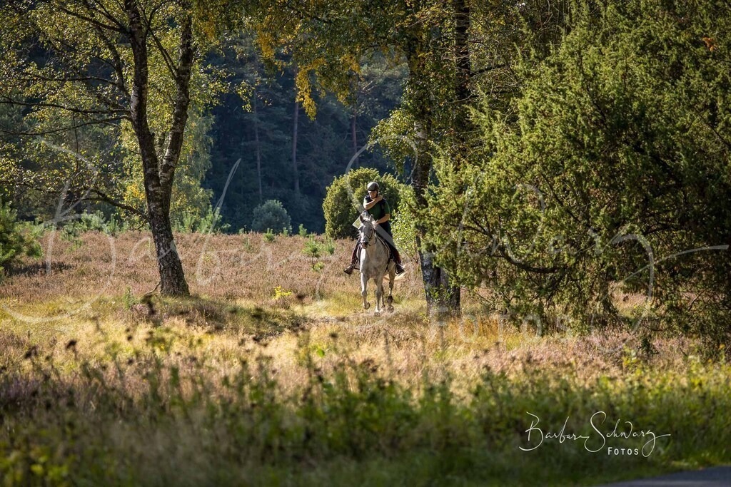 DdLH-WehlenerHeide_2025-09-20_144 | Fotografie, Veranstaltungs-Fotografie, Pferde-Fotografie, Landschafts-Fotografie, Reise-Fotografie - Realisiert mit Pictrs.com