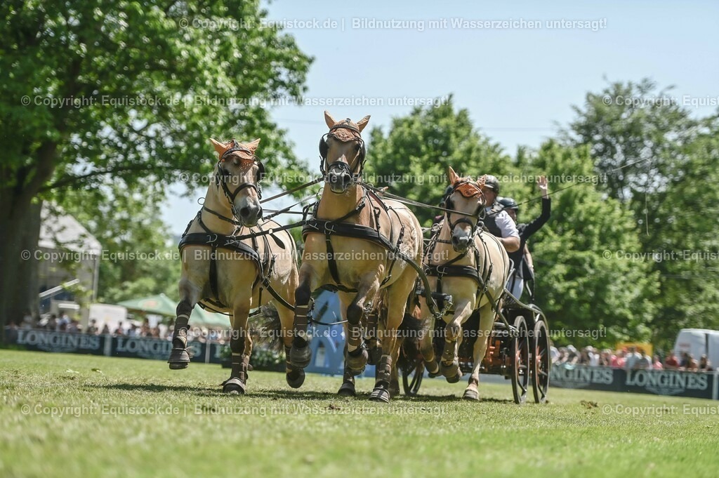 20230528_Jump-and-Drive_0295 | equistock