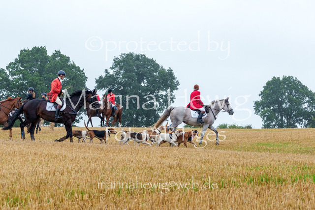 Jagd Kletkamp 26-02811_MarinaHewig | Fotografie, FotoArt, PferdesportArt, Pferdesportfotografie, Landschaftsfotografie, Reisefotografie, Reise, Pferde - Realisiert mit Pictrs.com