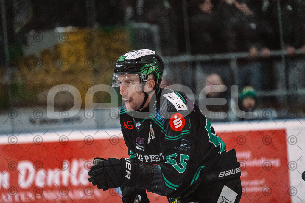 Alligators_vs_Lindau_20_02_2026-38 | Höchstadt Alligators Fotogalerie: Eishockey-Action aus Franken. Professionelle Spielfotos, Portraits & Stadionbilder zum Download. Jetzt entdecken! - Realisiert mit Pictrs.com