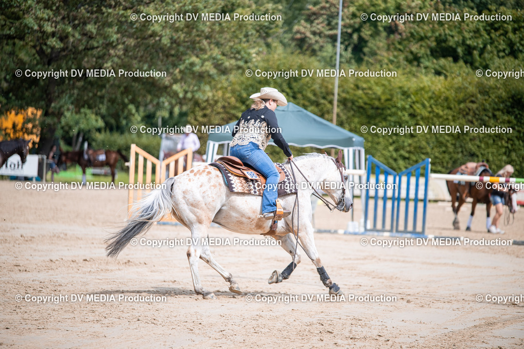 ZS3_5380 | dv-media-shop - Realisiert mit Pictrs.com