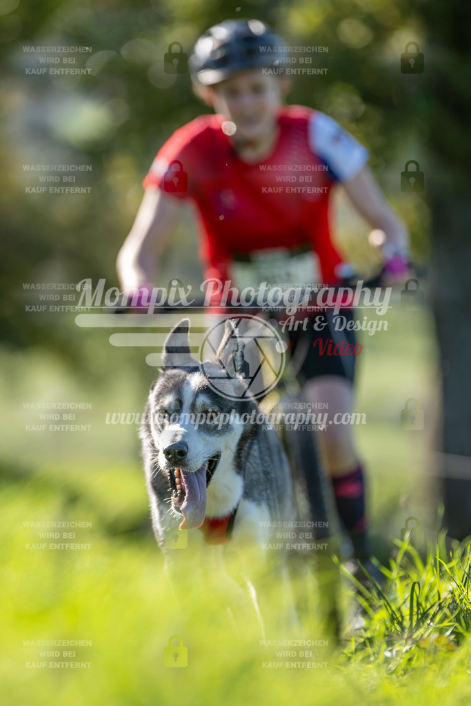 MompixPhotography_20TSB_E3_DS1-45 | PayLife