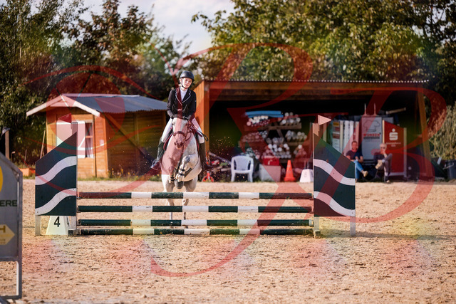 2026_10_03_Siefer-Hof_155137_Z81_70481114 | Professionelle Reitsport-, Turnier- und Eventfotografie von Robert Broda. Galerien mit ausgewählten und bearbeiteten Bildern direkt online ansehen und bestellen.