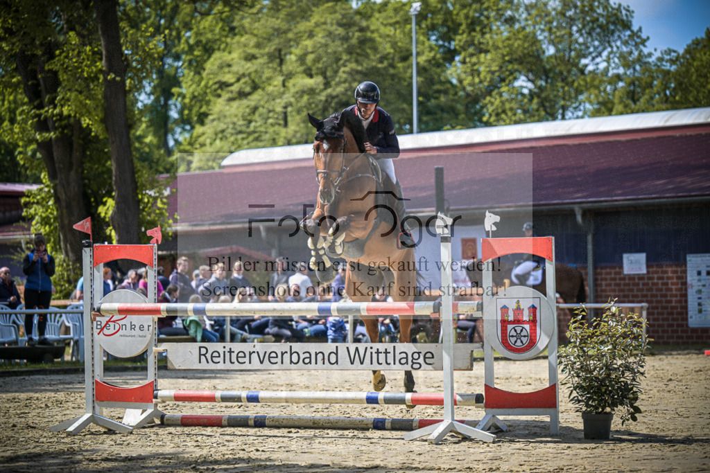 DOS_7895 | Entdecke hochwertige Reitturnierfotos von Foto Oger. Professionell, emotional und authentisch – jetzt Lieblingsmomente im Shop bestellen.Deutschlandweite Turnierfotografie. - Realisiert mit Pictrs.com