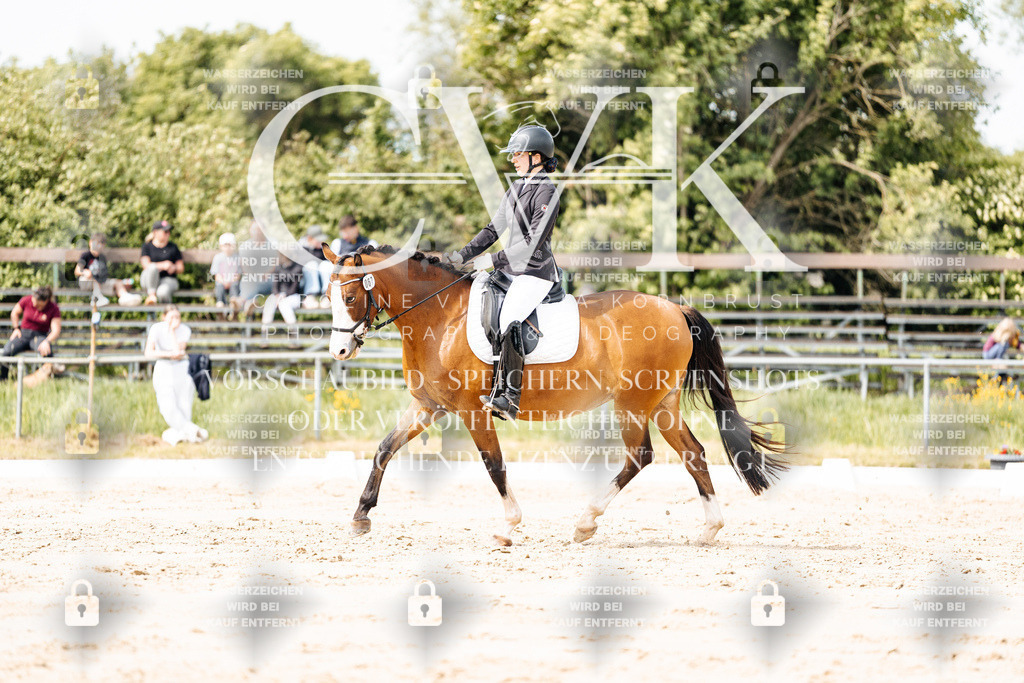 CK901229 | Turnierfotografie Pferdefotografie Trier Rheinland-Pfalz Pferdesport Reitsport Tierfotografie Sportfotografie Pferdevideo Pferdevideografie Equestrianvideography equestrianphotography  - Realisiert mit Pictrs.com