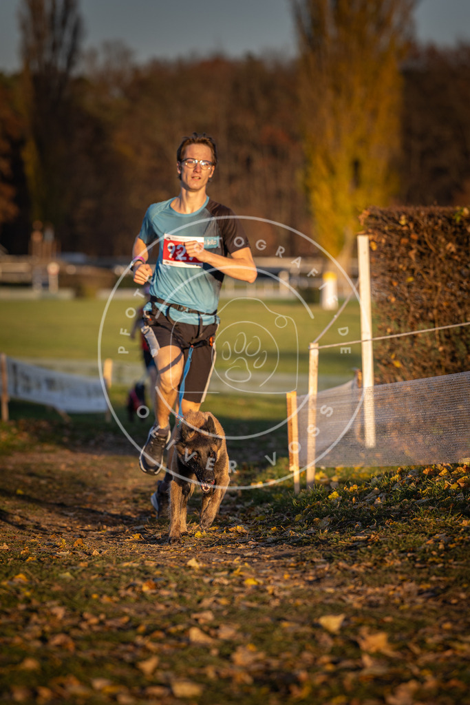 CaniXpix_DV3A5064 | Hundefotografie, Tierfotograf, Pfotenfotografie, Fotoshooting Hund, Hunde Portrait, Hundesport, Hundeportraits, Heideshooting, Hunde, Sportfotograf, Hundefotograf, Turnierhundsport, THS,  - Realisiert mit Pictrs.com