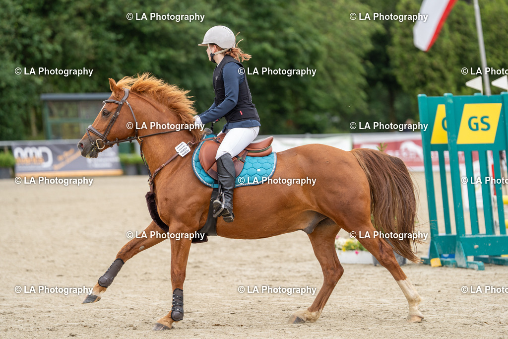 DSC07672 | Entdecke einzigartige Turnierfotos und persönliche Pferde- und Hundeportraits bei LA Photography. Für jeden Reiter und Pferd das perfekte Bild! Stöbere jetzt! - Realisiert mit Pictrs.com