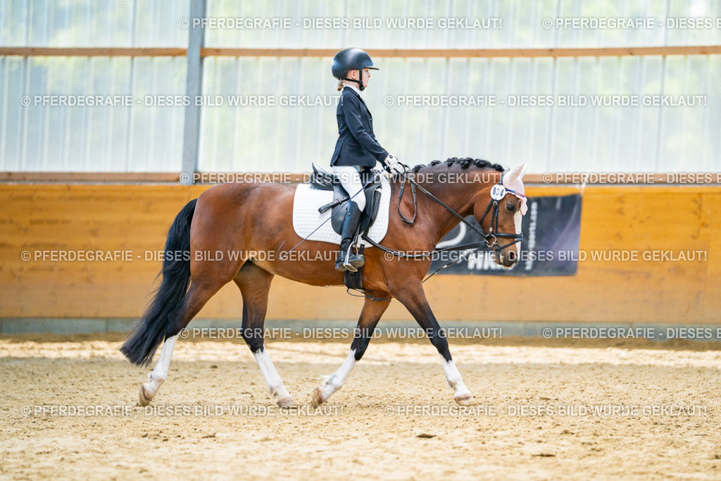 DSC00985 | Pferdegrafie