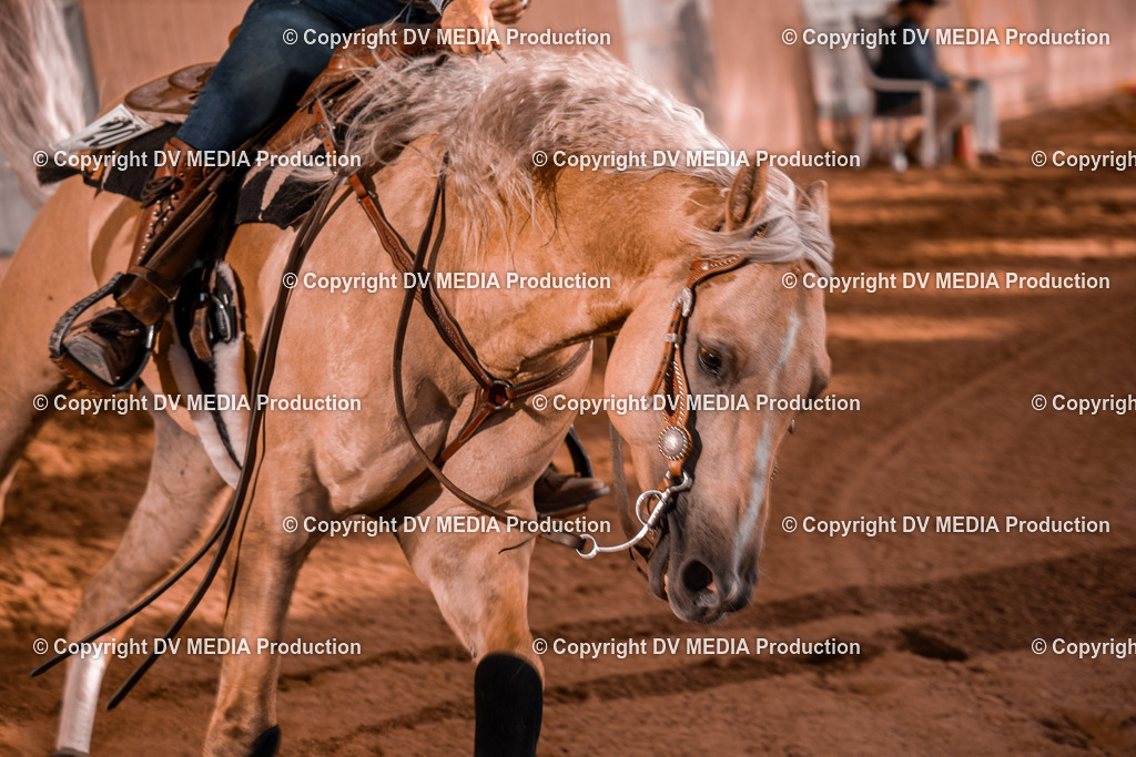 NE201248 | dv-media-shop - Realisiert mit Pictrs.com