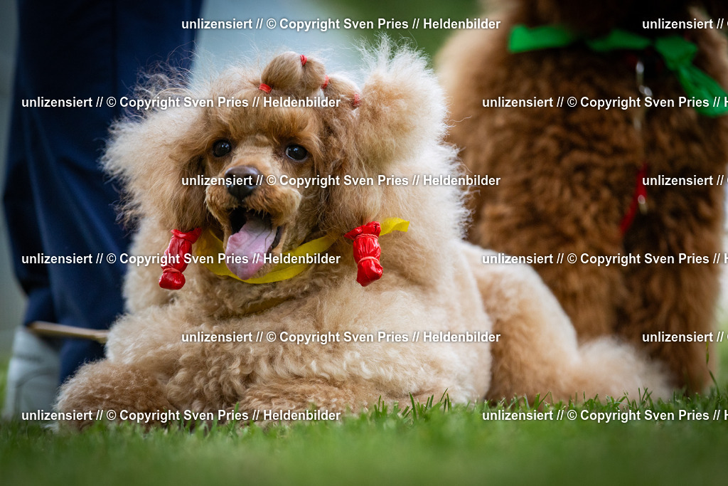 Sven Pries | 2025-05-29 - Pudelrennen KA-Durlach - Realisiert mit Pictrs.com