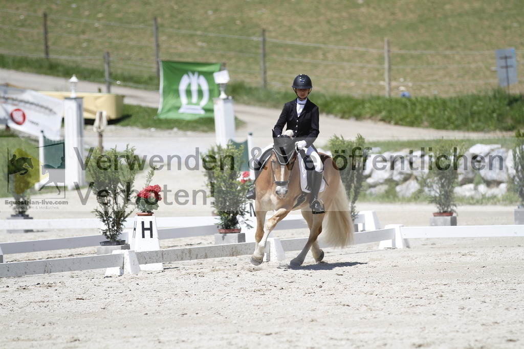 _MG_4988 | equestrian-live-com