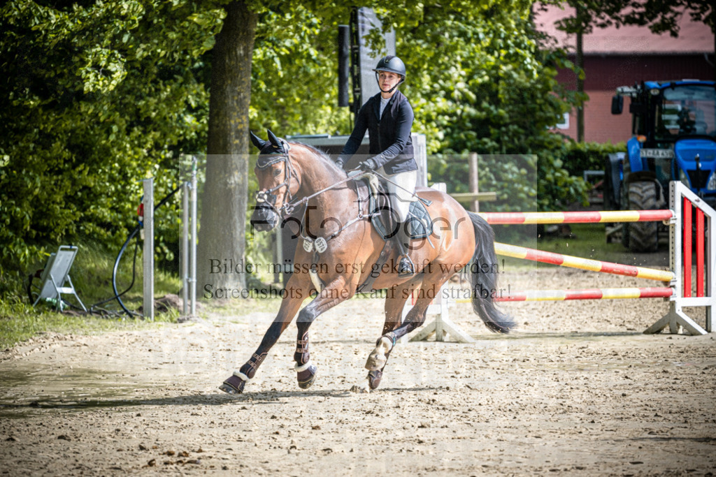 DOS_2252 | Reitturnier Lüdinghausen - Realisiert mit Pictrs.com