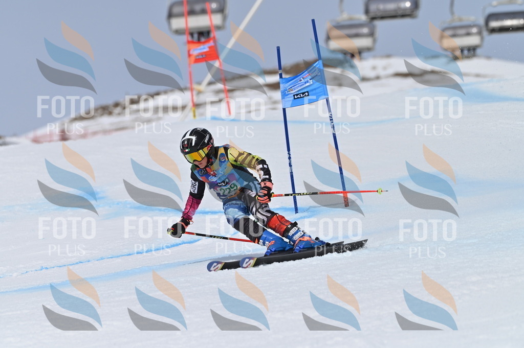 BGV_4532 | holidayphoto