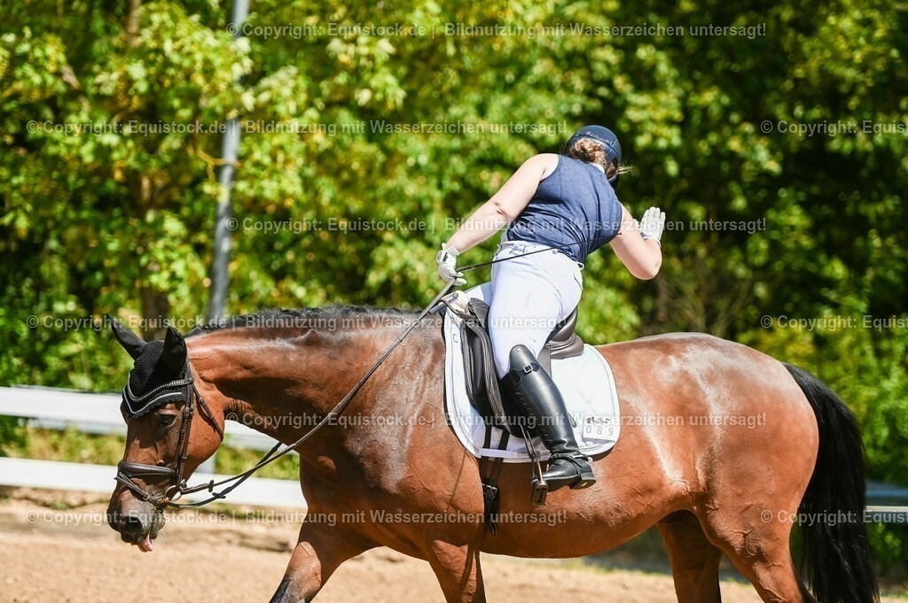 20230715_02_Dressurreiterprüfung Kl.L_0008 | equistock