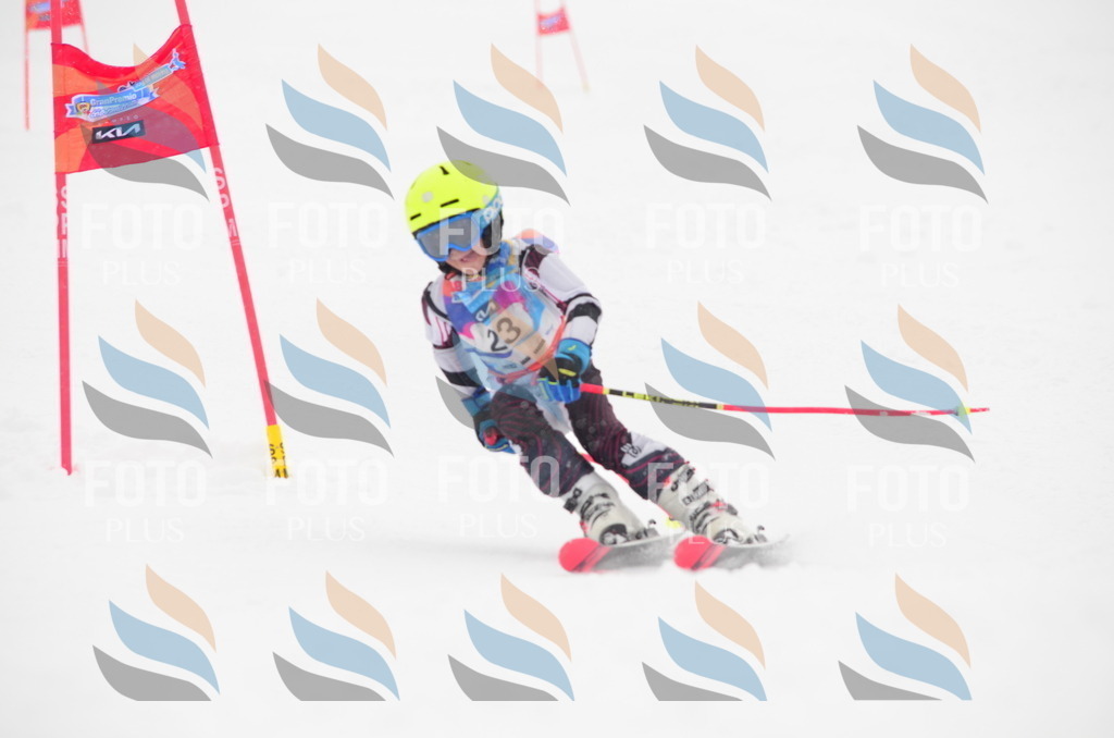 C0691 | holidayphoto