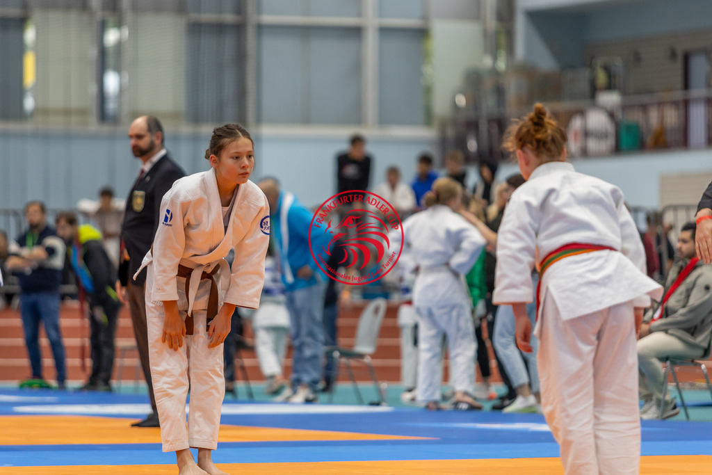 Internationaler Adler Cup 2024 | Foto vom Internationalen Adler Cup Judo Turnier im Sport- und Freizeitzentrum Kalbach im Oktober 2024 - Realisiert mit Pictrs.com