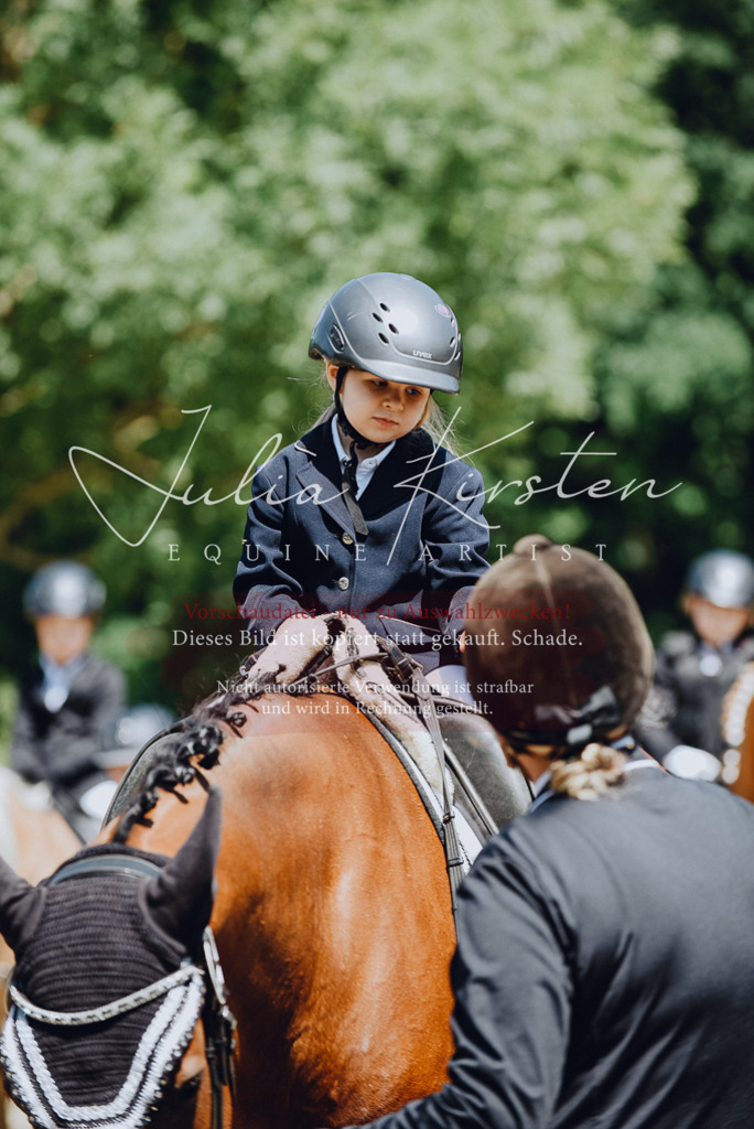 DSC_2647 | Pferde- und Turnierfotografie in Westsachsen. Pferdeportraits, Auftragszeichnungen und intuitive Kunst.
