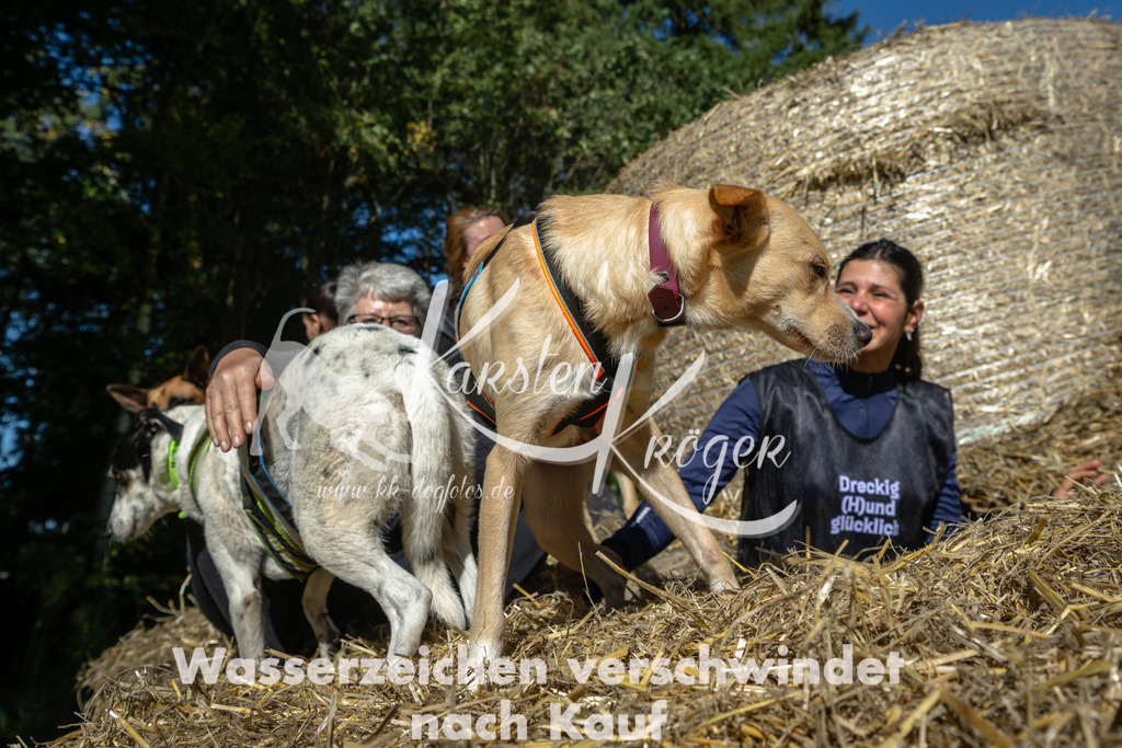 1245_ZZ92190-2 | kk-dogfotos