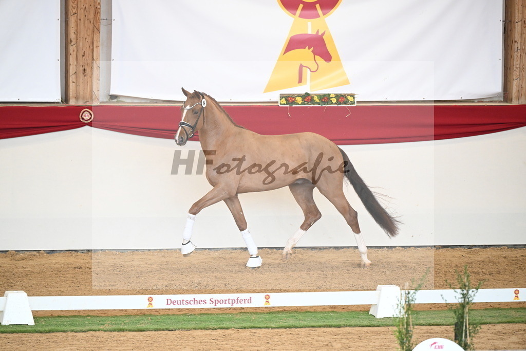 Kat.-Nr. 84 v. Vaderland_van den Oetelaar_2250815 | hf-fotografie - Realisiert mit Pictrs.com