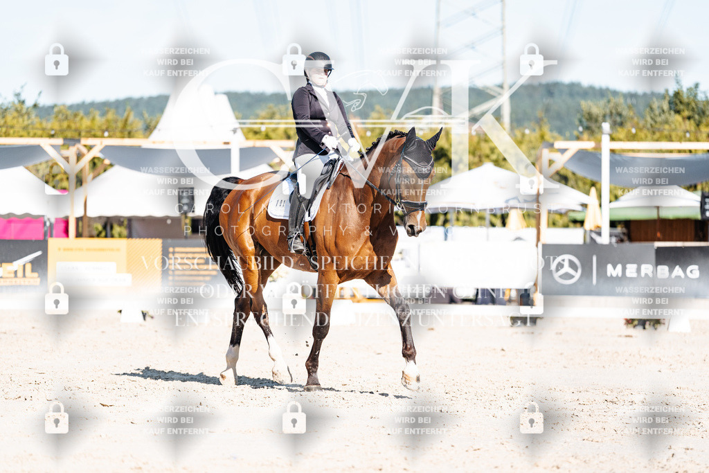 CK907689 | Turnierfotografie Pferdefotografie Trier Rheinland-Pfalz Pferdesport Reitsport Tierfotografie Sportfotografie Pferdevideo Pferdevideografie Equestrianvideography equestrianphotography  - Realisiert mit Pictrs.com