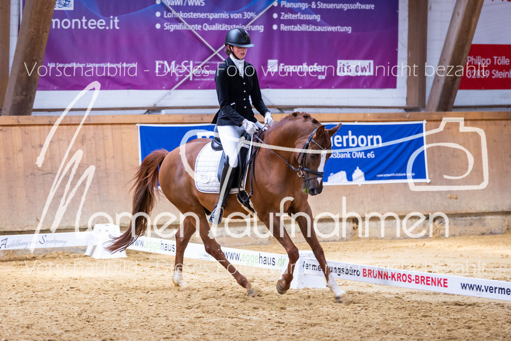 Sth-A-Dre-2St-207 | MomenTaufnahmen Pferdesportfotos