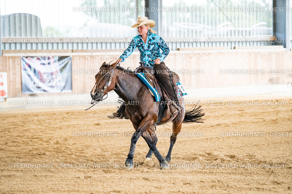 DSC06561 | Pferdegrafie