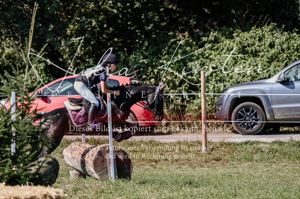 DSC_1939 | Pferde- und Turnierfotografie in Westsachsen. Pferdeportraits, Auftragszeichnungen und intuitive Kunst.