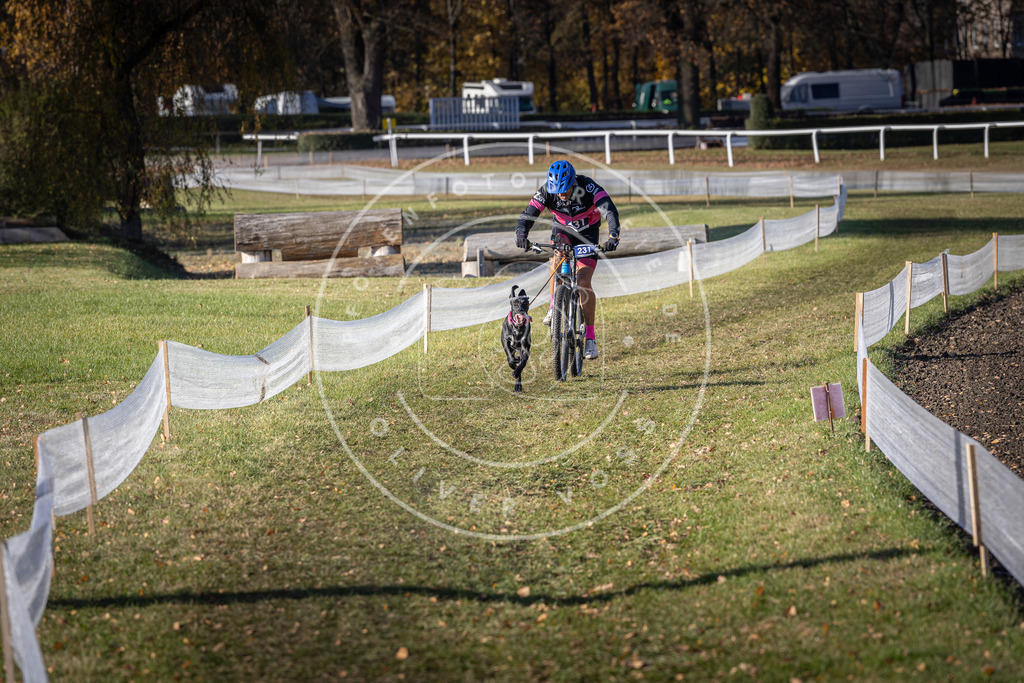 CaniXpix_DV3A3856 | Hundefotografie, Tierfotograf, Pfotenfotografie, Fotoshooting Hund, Hunde Portrait, Hundesport, Hundeportraits, Heideshooting, Hunde, Sportfotograf, Hundefotograf, Turnierhundsport, THS,  - Realisiert mit Pictrs.com