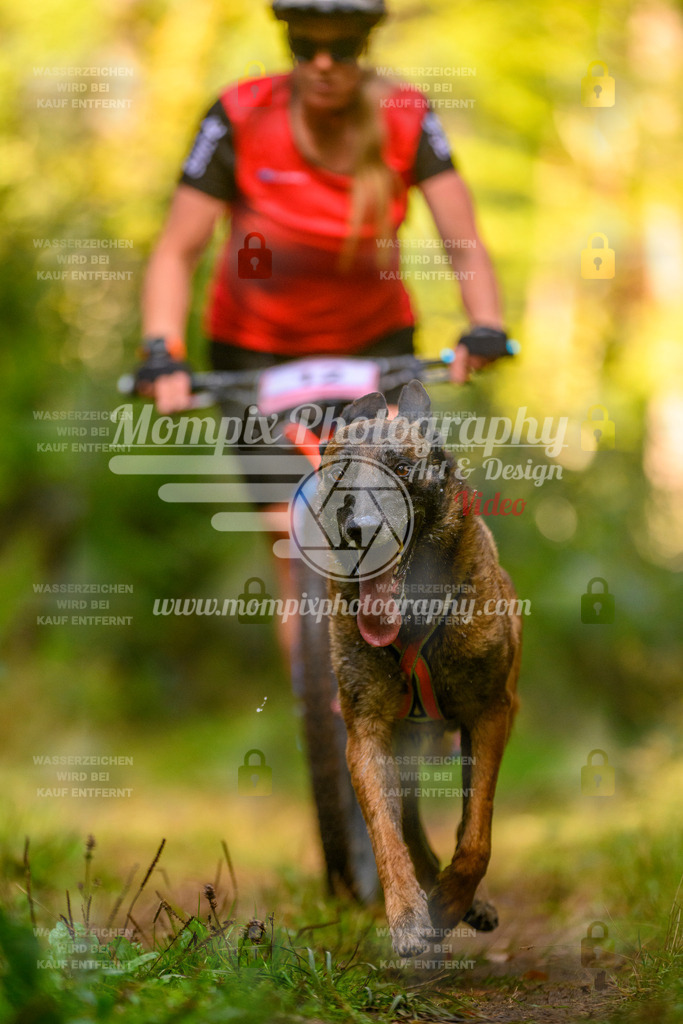 MompixPhotography_Yens2025_B1-41 | PayLife