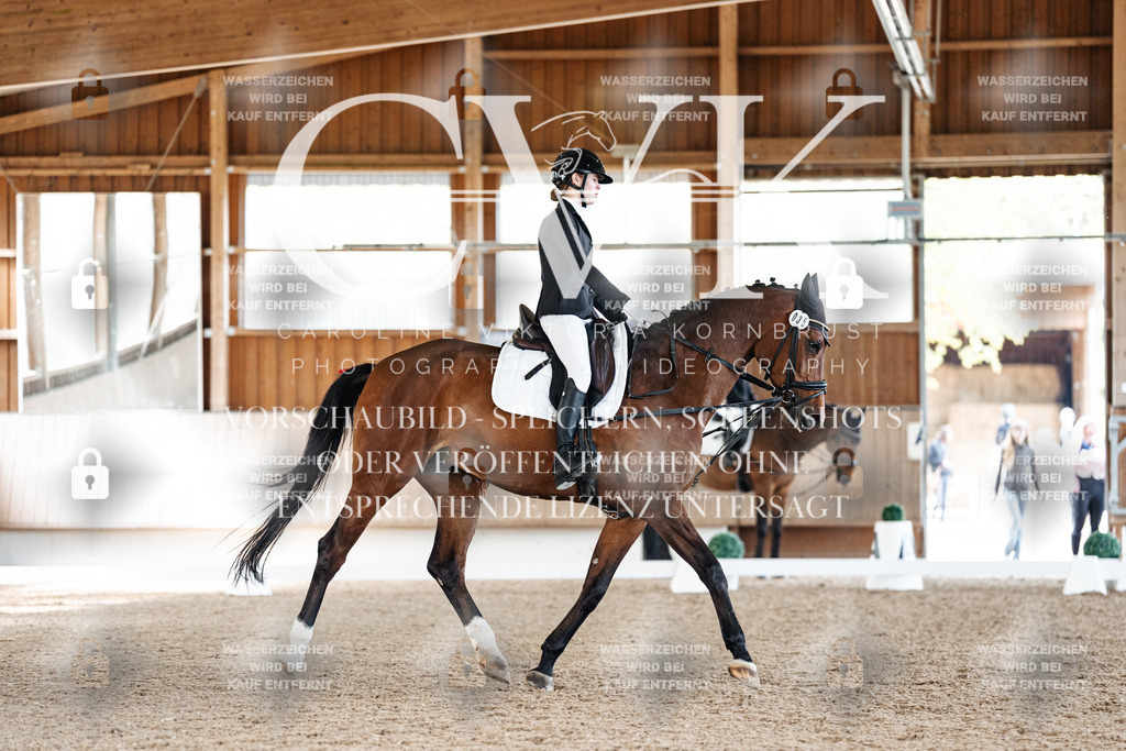 CK909754 | Turnierfotografie Pferdefotografie Trier Rheinland-Pfalz Pferdesport Reitsport Tierfotografie Sportfotografie Pferdevideo Pferdevideografie Equestrianvideography equestrianphotography  - Realisiert mit Pictrs.com