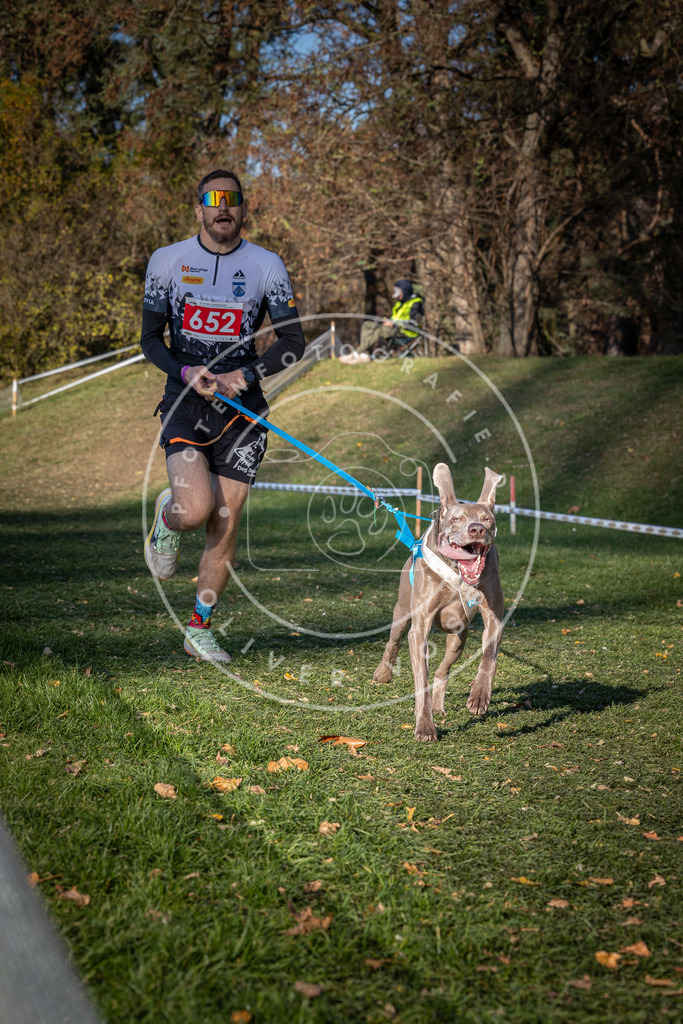 CaniXpix_0L8A9111 | Hundefotografie, Tierfotograf, Pfotenfotografie, Fotoshooting Hund, Hunde Portrait, Hundesport, Hundeportraits, Heideshooting, Hunde, Sportfotograf, Hundefotograf, Turnierhundsport, THS,  - Realisiert mit Pictrs.com