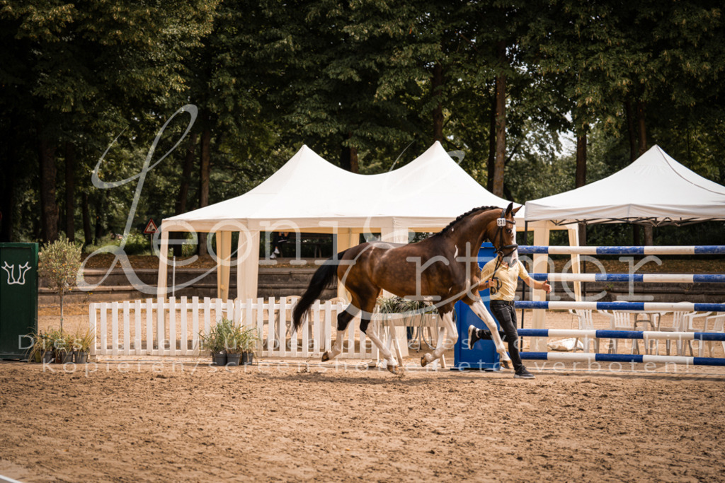 3.Fr00180 | Leoni Ertmer Photography - Realisiert mit Pictrs.com