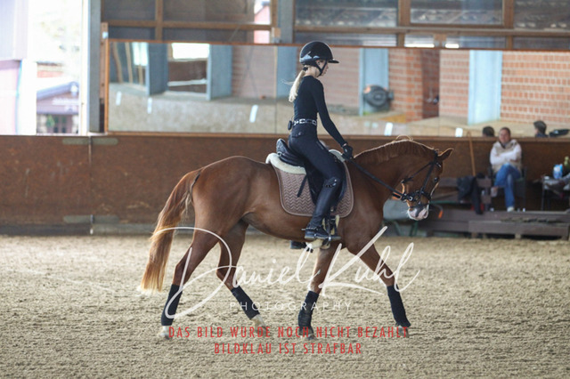 DKP42582 | Turniersportfotografie; Pferdefotografie; Dressurfotografie