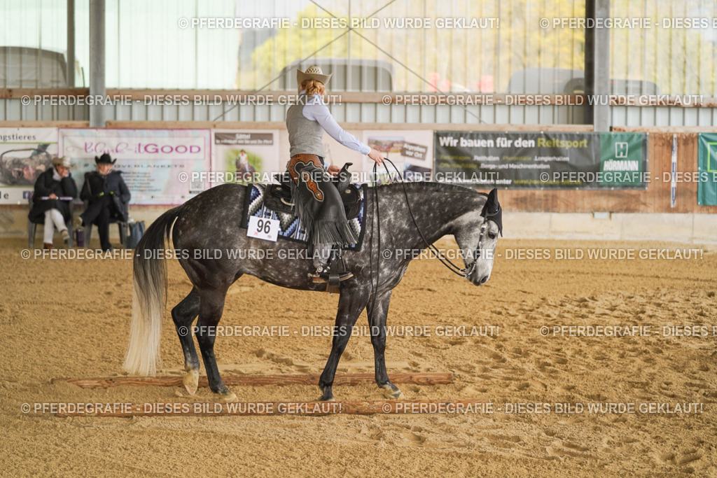 DSC03566 | Pferdegrafie