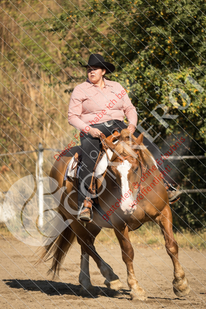 IMG_6636 | Sport-, Event- und Tierfotos in Profiqualität. Einfach auswählen, bestellen und herunterladen. Dein Moment – perfekt festgehalten.