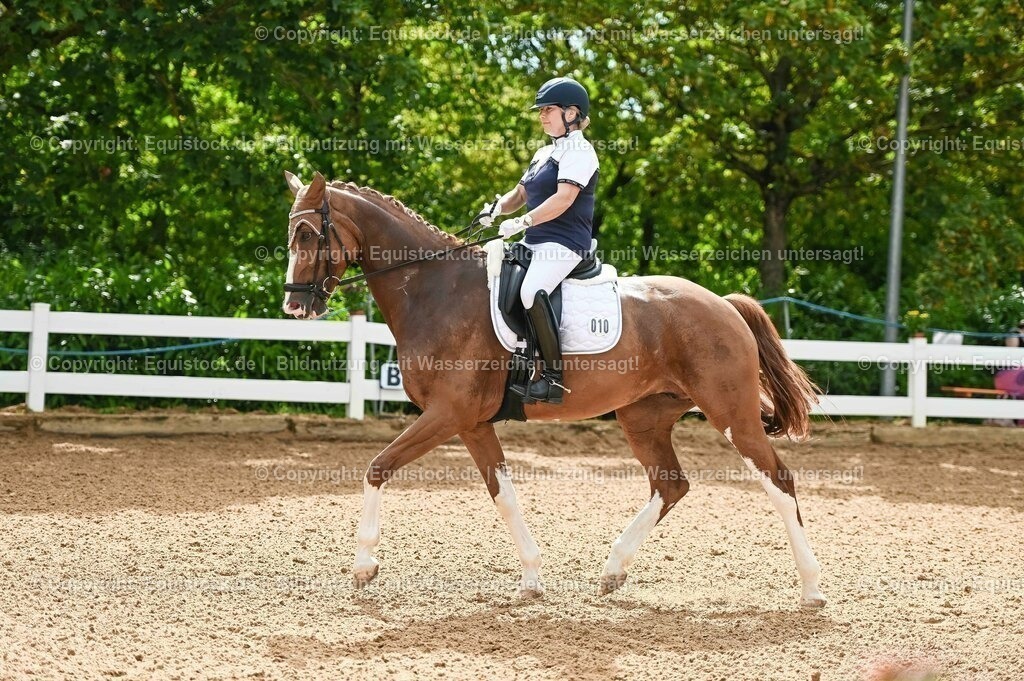 20230715_07_Dressurpferdeprfg. Kl.L_0024 | equistock