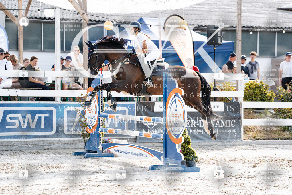 CK905929 | Turnierfotografie Pferdefotografie Trier Rheinland-Pfalz Pferdesport Reitsport Tierfotografie Sportfotografie Pferdevideo Pferdevideografie Equestrianvideography equestrianphotography  - Realisiert mit Pictrs.com