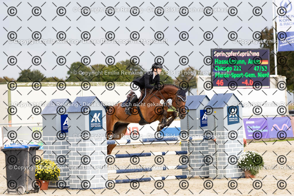 CL5A9783 | Emilia Reinking Fotografie - Realisiert mit Pictrs.com