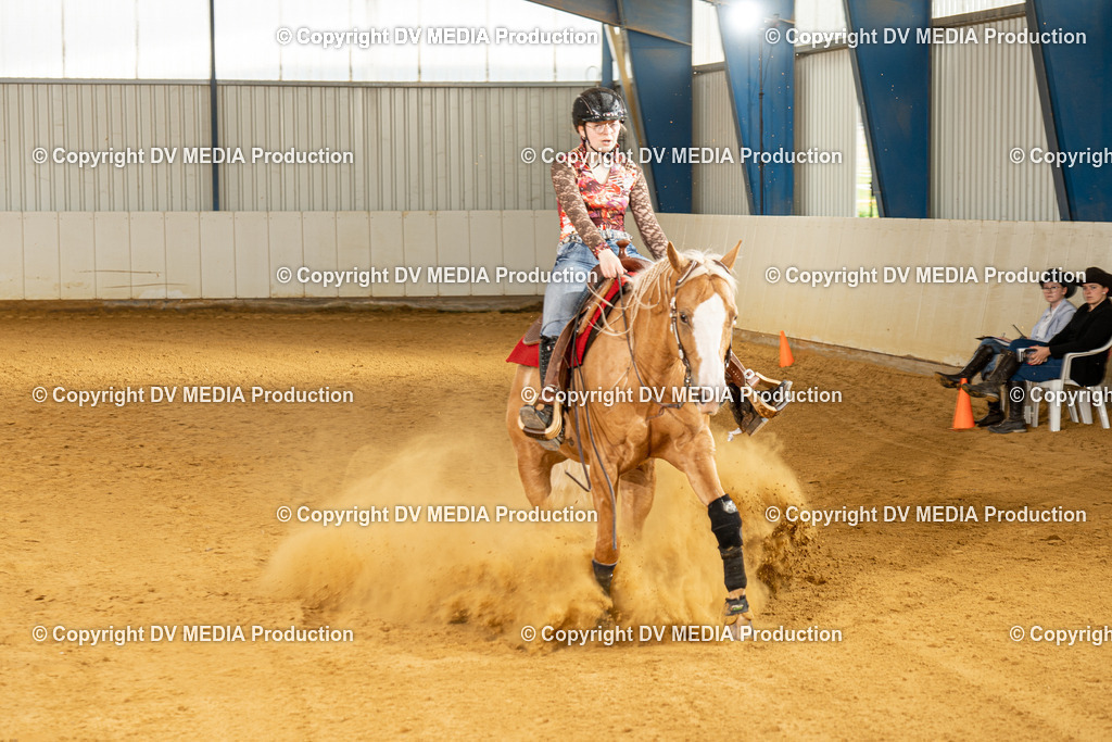 MIT00269 | dv-media-shop - Realisiert mit Pictrs.com