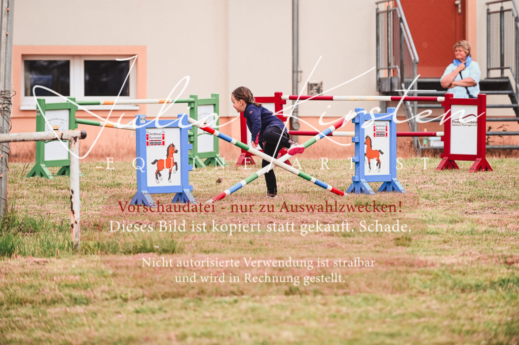 DSC_5288 | Pferde- und Turnierfotografie in Westsachsen. Pferdeportraits, Auftragszeichnungen und intuitive Kunst.