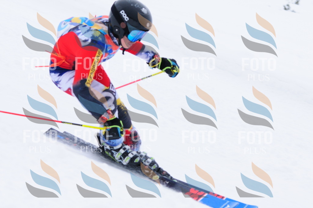 C2927 | holidayphoto