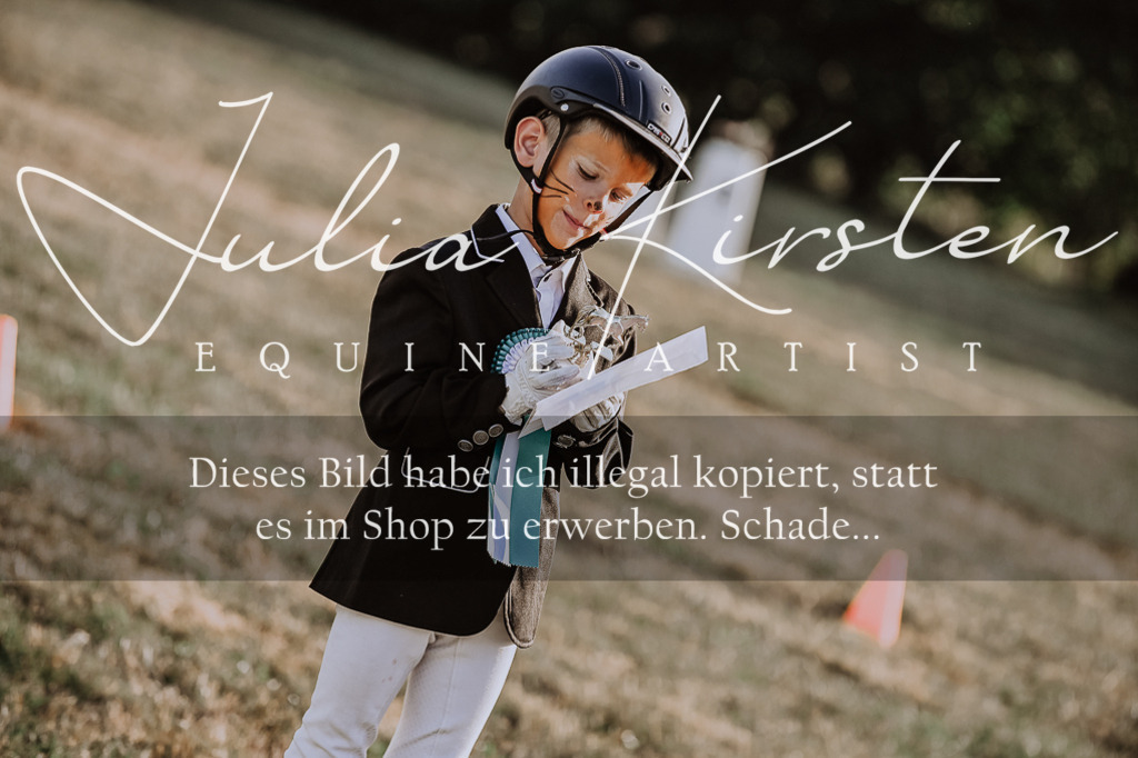 DSC_0246 | Pferde- und Turnierfotografie in Westsachsen. Pferdeportraits, Auftragszeichnungen und intuitive Kunst.