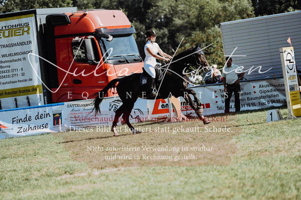 DSC_6718 | Pferde- und Turnierfotografie in Westsachsen. Pferdeportraits, Auftragszeichnungen und intuitive Kunst.
